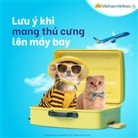 Quy định mang theo động vật cảnh của Vietnam Airlines