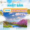 Du Lịch Nhật Bản 5 Ngày 4 Đêm: Khám Phá Xứ Sở Hoa Anh Đào Cổ Kính và Hiện Đại Cùng Senbay