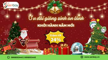 Giáng sinh rực rỡ cùng Senbay: Ưu đãi giảm đến 24% vé máy bay Bamboo Airways
