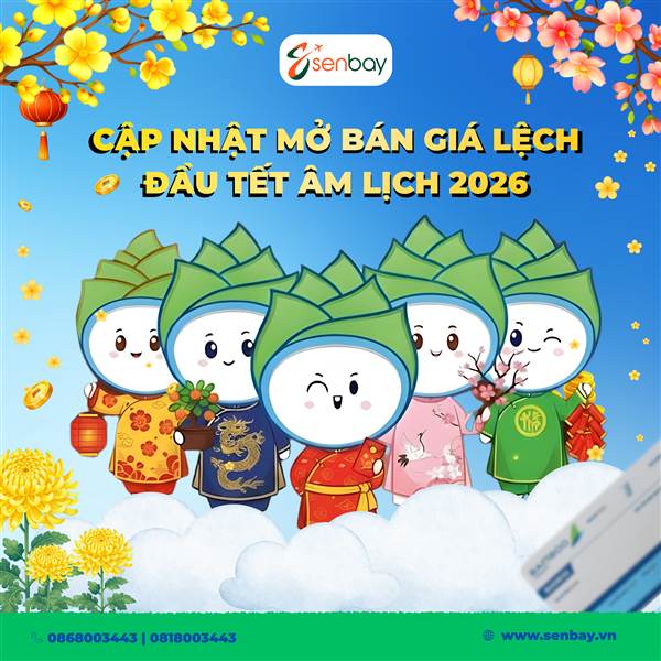 vemaybaytetkhuhoi2026