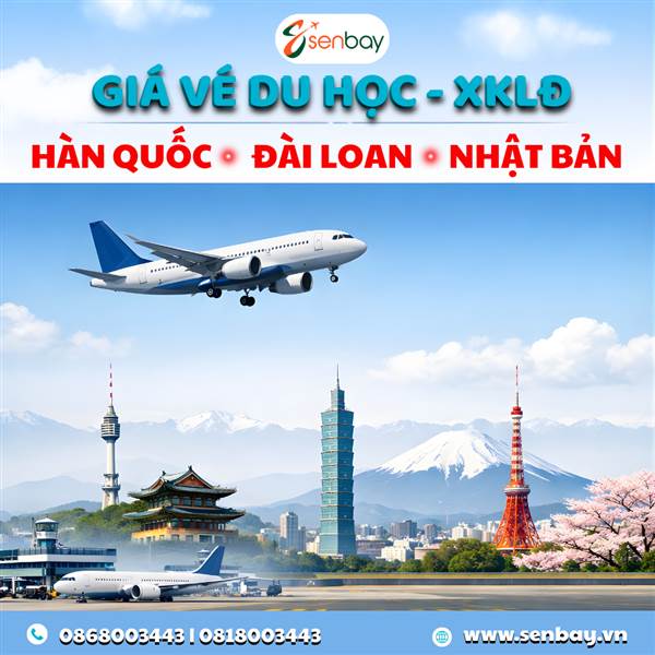 datvemaybaydiquoctegiaretaisenbay