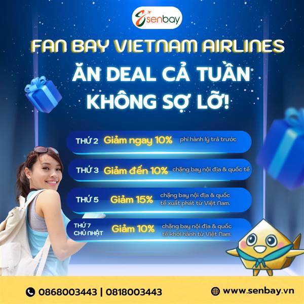 vemaybayvietnamairlinestaisenbay