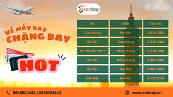Săn Vé Máy Bay Quốc Tế Giá Rẻ Tháng 3/2026: Hành Trình Bay Đẹp, Giá Cực Hời Tại Senbay