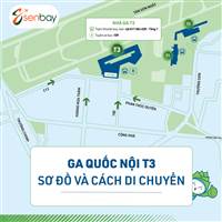 Bamboo Airways đi nhà ga nào Tân Sơn Nhất? Cập nhật vị trí quầy thủ tục mới nhất 2026