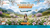 Tháng Tư - Mùa Hoa Mở Lối: Senbay Đồng Hành Cùng Ưu Đãi 15% Từ Vietnam Airlines