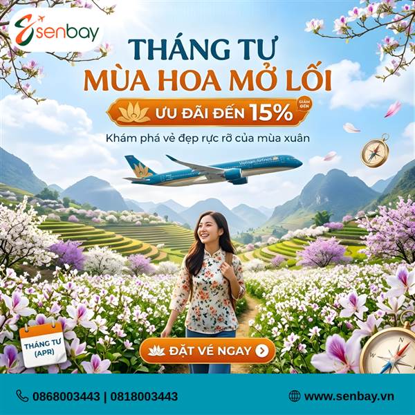 vemaybayvietnamairlinegiam15