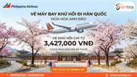 Đặt vé máy bay đi Hàn Quốc khứ hồi – Tận hưởng mùa hoa anh đào cùng Senbay