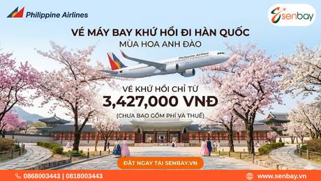 Đặt vé máy bay đi Hàn Quốc khứ hồi – Tận hưởng mùa hoa anh đào cùng Senbay