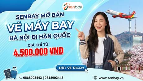 Senbay Mở Bán Vé Máy Bay Hà Nội Đi Hàn Quốc: Lịch Bay Dày Đặc, Giá Vé Cạnh Tranh 2026