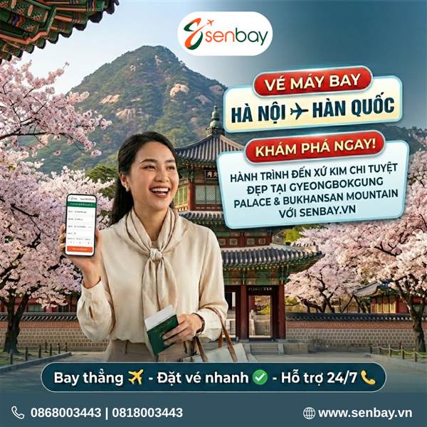 Vé Máy Bay Hà Nội Hàn Quốc: Cập Nhật Bảng Giá & Ưu Đãi Mới Nhất Tại Senbay