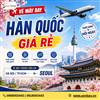 Săn vé máy bay du lịch Hàn Quốc tại Senbay – Tận hưởng mùa hoa anh đào đẹp nhất 2026