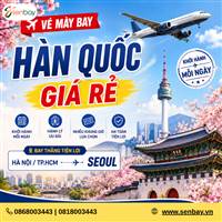 Săn vé máy bay du lịch Hàn Quốc tại Senbay – Tận hưởng mùa hoa anh đào đẹp nhất 2026