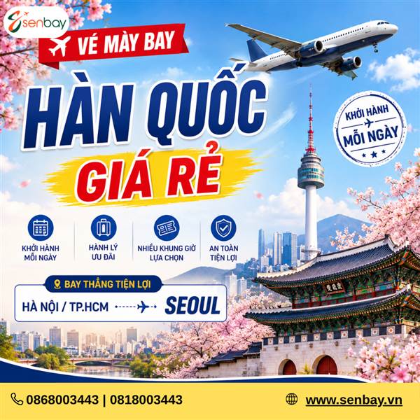 Săn vé máy bay du lịch Hàn Quốc tại Senbay – Tận hưởng mùa hoa anh đào đẹp nhất 2026