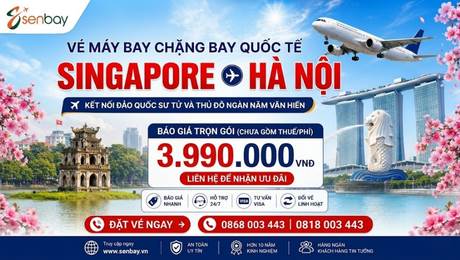 Senbay Mở Bán Vé Máy Bay Singapore Hà Nội: Kết Nối Đảo Quốc Sư Tử Với Thủ Đô Ngàn Năm Văn Hiến
