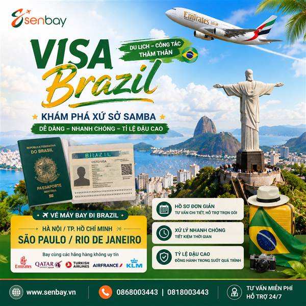 visabrazil