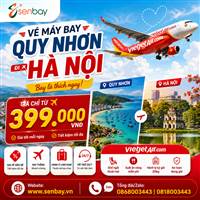 Vé máy bay Quy Nhơn đi Hà Nội giá tốt, hỗ trợ thủ tục trọn gói từ A-Z cùng đại lý Senbay